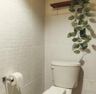Centro Hotel | Hotel Sur Bacalar