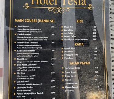 Rohtak Hotel | Hotel Tesla