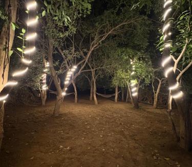 Pushkar Hotel | HOTEL THE PUSHKAR FLOWER