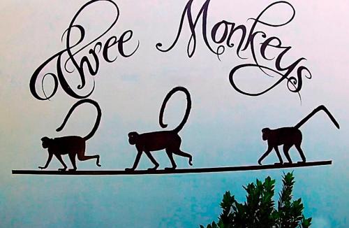 Montezuma Hotel | Hotel Three Monkeys