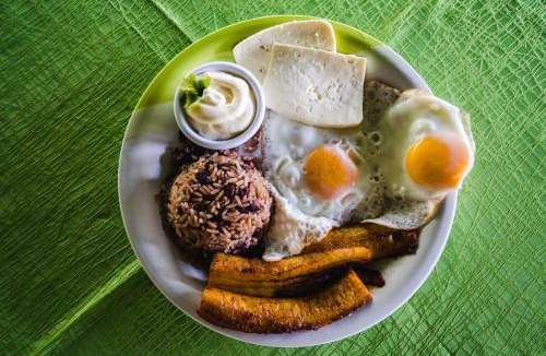 Tortuguero Hotel | Hotel Tortuguero Beachfront