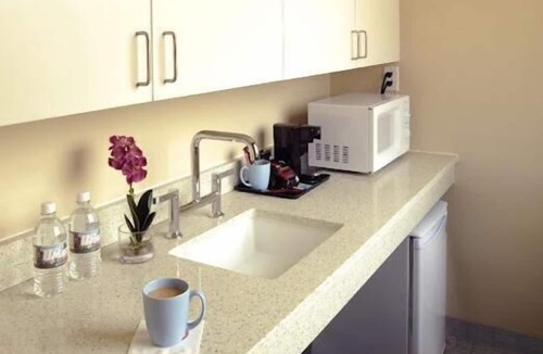 Amherst Hotel | Hotel UMass