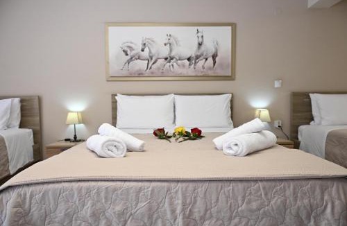 Nafplion City Centre Hotel | Hotel Vasilis Nafplio