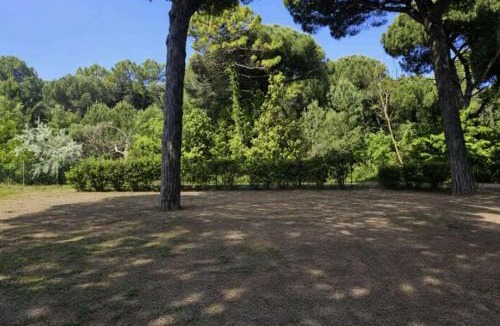 Milano Marittima Hostel | Hotel Venus