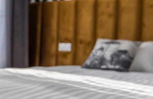 Satu Mare Hotel | Hotel Vila Central Boutique Satu Mare