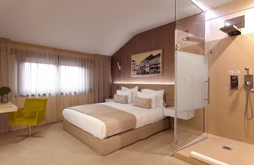 Satu Mare Hotel | Hotel Vila Class