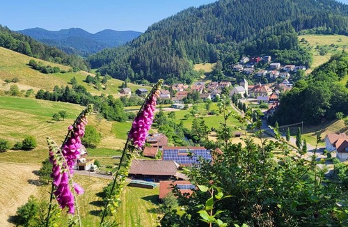 Oberwolfach Hotel | Hotel Walkenstein