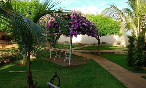 Barretos Hotel | Hotel Winner