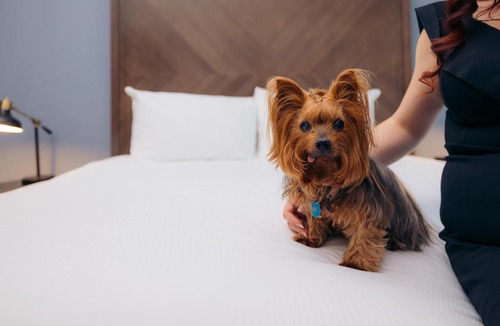 Winters Hotel | Hotel Winters