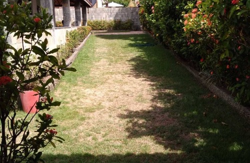 Parafuso House | House