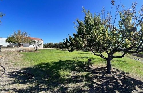 Nuova Cliternia House | House in the Countryside with pool near the sea