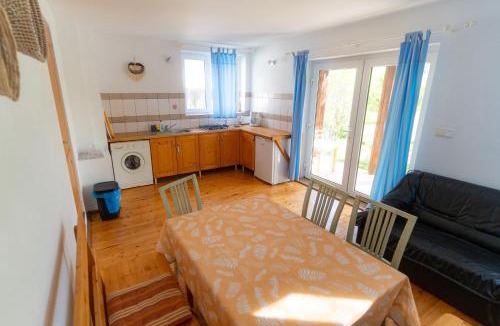Cisnadioara House | House Michael Camping Ananas Cisnadioara