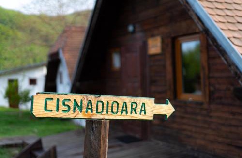Cisnadioara House | House Michael Camping Ananas Cisnadioara