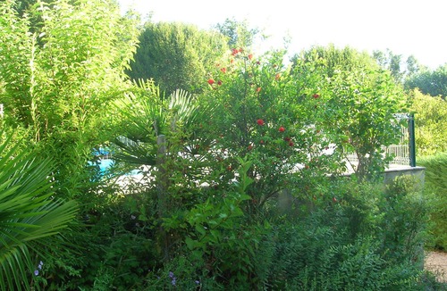 Tamnies House | House on the edge of a forest near Sarlat