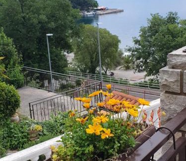 Medveja Bed & Breakfast | House Vali