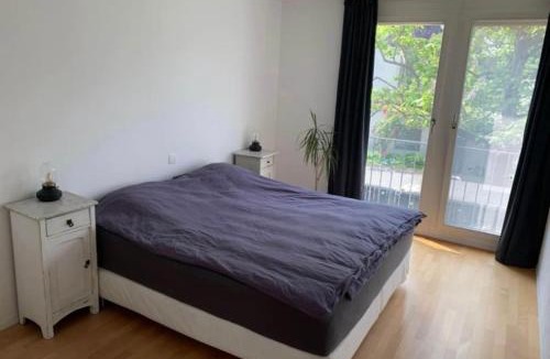 Basel City Centre Apartment | House with garden