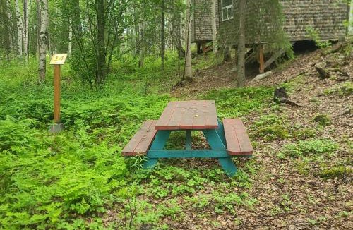 Houston Other | Houston Grass Station Campsite #14