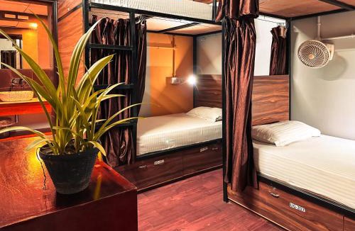 Bani Park Hostel | Hoztel Jaipur