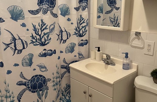 Ditmas Park Apartment | Huge 2 Bedroom/2 Bathroom Apt
