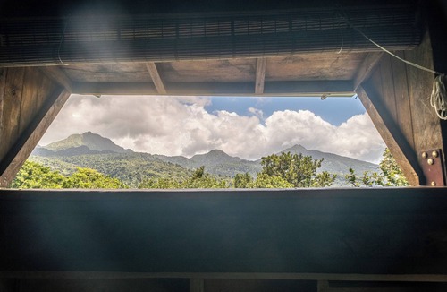 Laudat Cabin | Hummingbird Haven