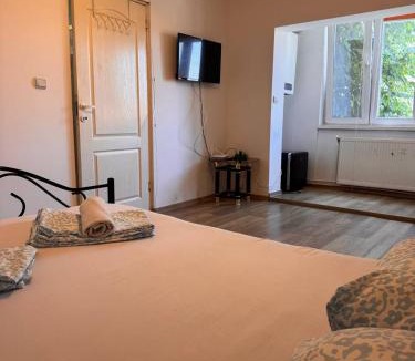 Hunedoara Apartment | Hunedoara Central Stay
