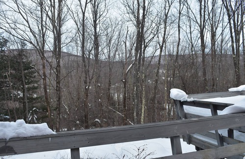 Hunter House | Hunter Mountain Dream Chalet-Base of Slopes