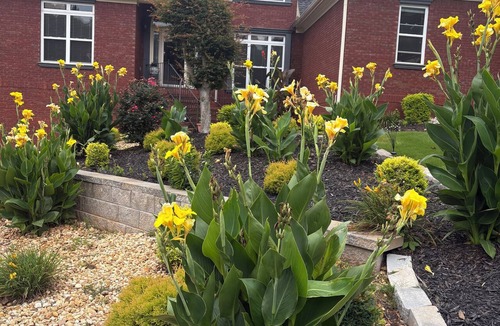 Braselton House | Hurry up and get here so you can . take a deep breath and chill!