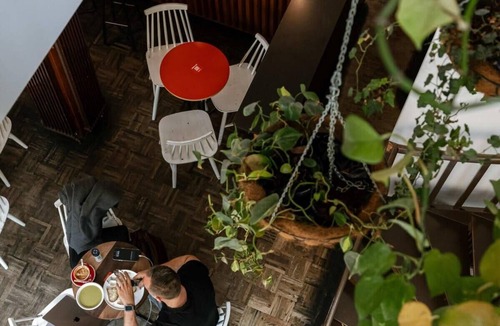 Ghent Apartment | Huswell - The Jungle' Studio in the heart of Ghent