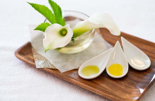 Gora Hotel | Hyatt Regency Hakone Resort and Spa