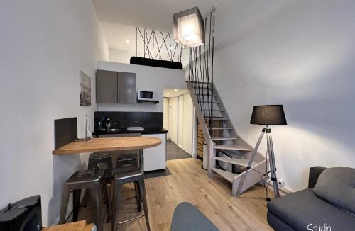 Les Cordeliers Apartment | Hyper centre : Appartement Déco Atelier ou Studio Mezzanine