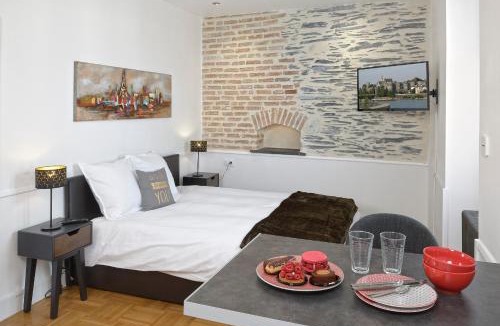 Downtown Angers Apartment | Hyper Centre Rue Valdemaine