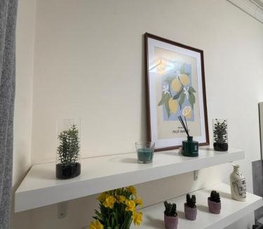 Vernier Apartment | Hypercentre Studio