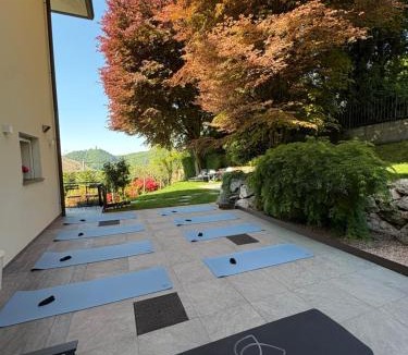 Como House | i FAGGI ROSSI - RED BEECH TREES