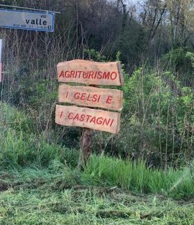 Ricco del Golfo di Spezia House | I Gelsi e i Castagni