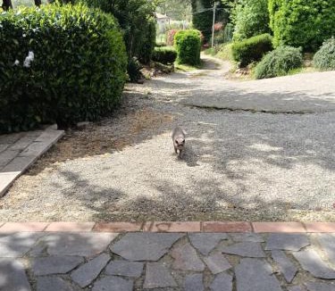 Valle Castagneta House | I Gerani