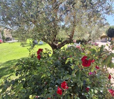 Tragliatella House | I Giardini di BeCa