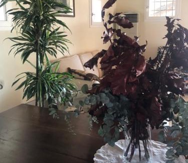 Forli House | I MERISI