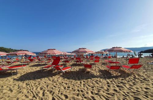 Lido di Capoliveri Apartment | I Palmizi