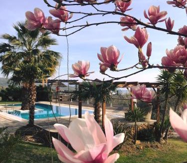 Koropi Hotel | Iakovakis Suites & Spa