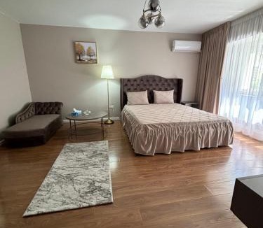 Braila Apartment | Iancu
