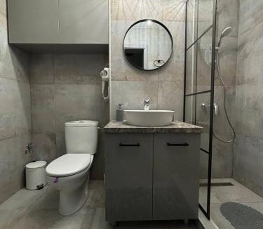 Braila Apartment | Iancu