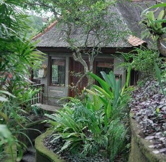 Ubud Resort | Ibah