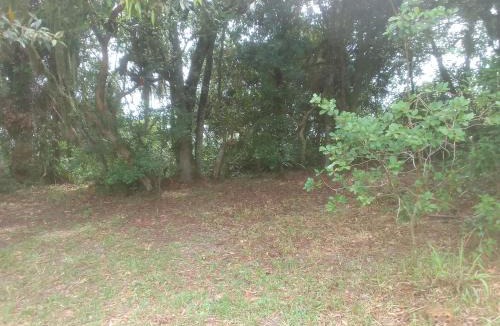 Alto Arroio Other | Ibira Camping