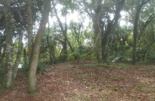 Alto Arroio Other | Ibira Camping