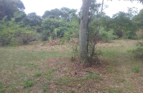 Alto Arroio Other | Ibira Camping