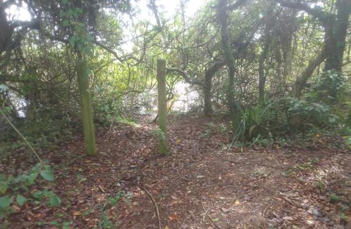 Alto Arroio Other | Ibira Camping