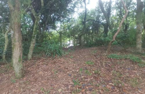 Alto Arroio Other | Ibira Camping
