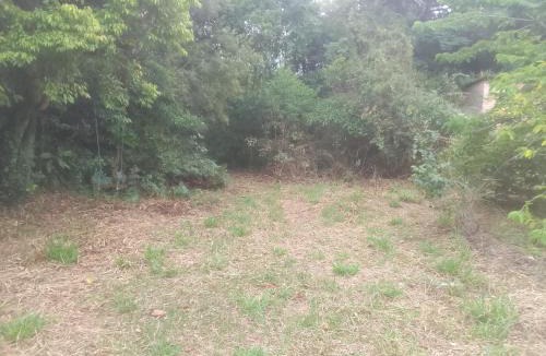 Alto Arroio Other | Ibira Camping