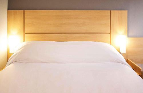 Centro Hotel | ibis Montenegro