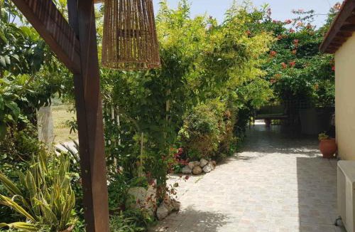 Kremasti House | Ibiscus Cottage in Paradisi near the Beach
